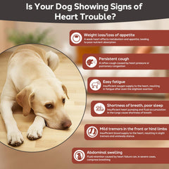 Yakucho Young Heart for Dogs close-up shows tasteless tablets for picky eaters.