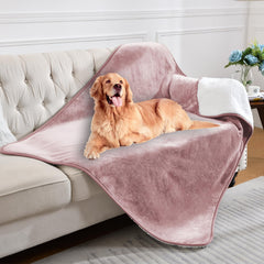 Yaning pet on sofa shows furniture protection with washable convenience