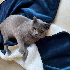 Yaning waterproof blanket on a couch showing double sided Sherpa and Flannel warmth