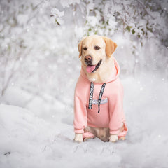 Yeapeeto dog hoodie pink fleece lining closeup highlights soft warmth