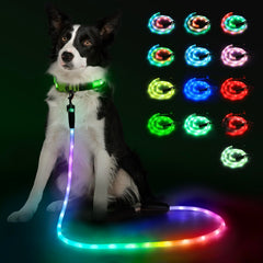 YFbrite dog leash shows ultra-bright 360-degree illumination for safer nighttime walks.