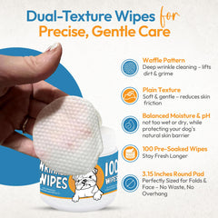 Yibesi Bulldog wrinkle cleansing on a facefold illustrates safe, daily care.