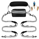 Yicostar hands free dog leash pouch image showing dual-dog setup for safe, comfortable walks.