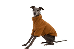 Yigi turtleneck cozy teddy fleece sweatshirt on an Italian Greyhound front view for warmth