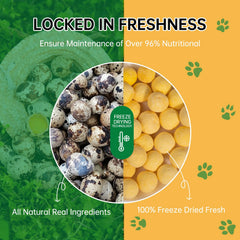 Yizeril freeze-dried quail egg yolk close-up emphasizes high-protein, single-ingredient nutrition.