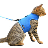 YIZHI MIAOW cat harness blue front view demonstrates comfortable escape-proof fit for relaxed outdoor strolls.