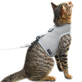 YIZHI MIAOW cat harness breathable mesh grey for cool outdoor walks.