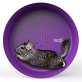 YKD 15-inch silent chinchilla wheel purple front view—quiet exercise for small pets