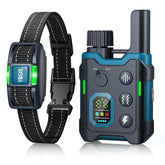 YOGAL dog collar blue on dog for calm training sessions