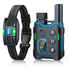 YOGAL dog collar blue on dog for calm training sessions