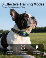 YOGAL remote with dual channel for training two dogs