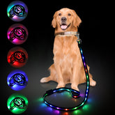 Yoheueoa 5ft LED dog leash glows at dusk for safer night visibility.