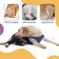 Yoneba dog recovery sleeve breathable design promotes airflow during healing.