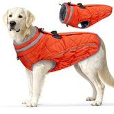 Yoochee dog coat waterproof fabric exterior helps keep large dogs dry in wet weather.