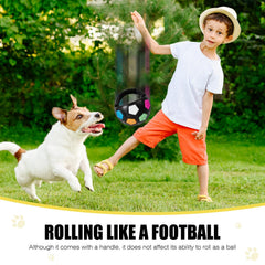 YOOGAO Pet dog ball floating demonstrates water-friendly fetch during pool or lake adventures.