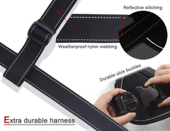YOOGAO Pet Reflective Stitching increases visibility for dusk or dawn strolls