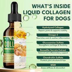YOTANGO dog collagen drops emphasize skin and coat health and shine