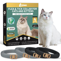 YOTANGO four-pack flea collar for cats in box shows value and longevity.