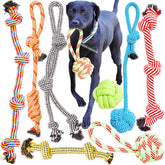Youngever dog rope toys eight-pack with varied designs for interactive play