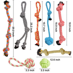 Youngever rope toy illustrating dental health benefits during chewing
