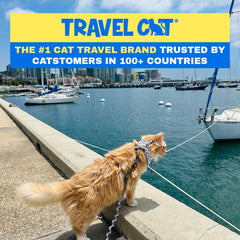 Your Cat Backpack 4 ft bungee leash ready for comfortable, controlled exploration.