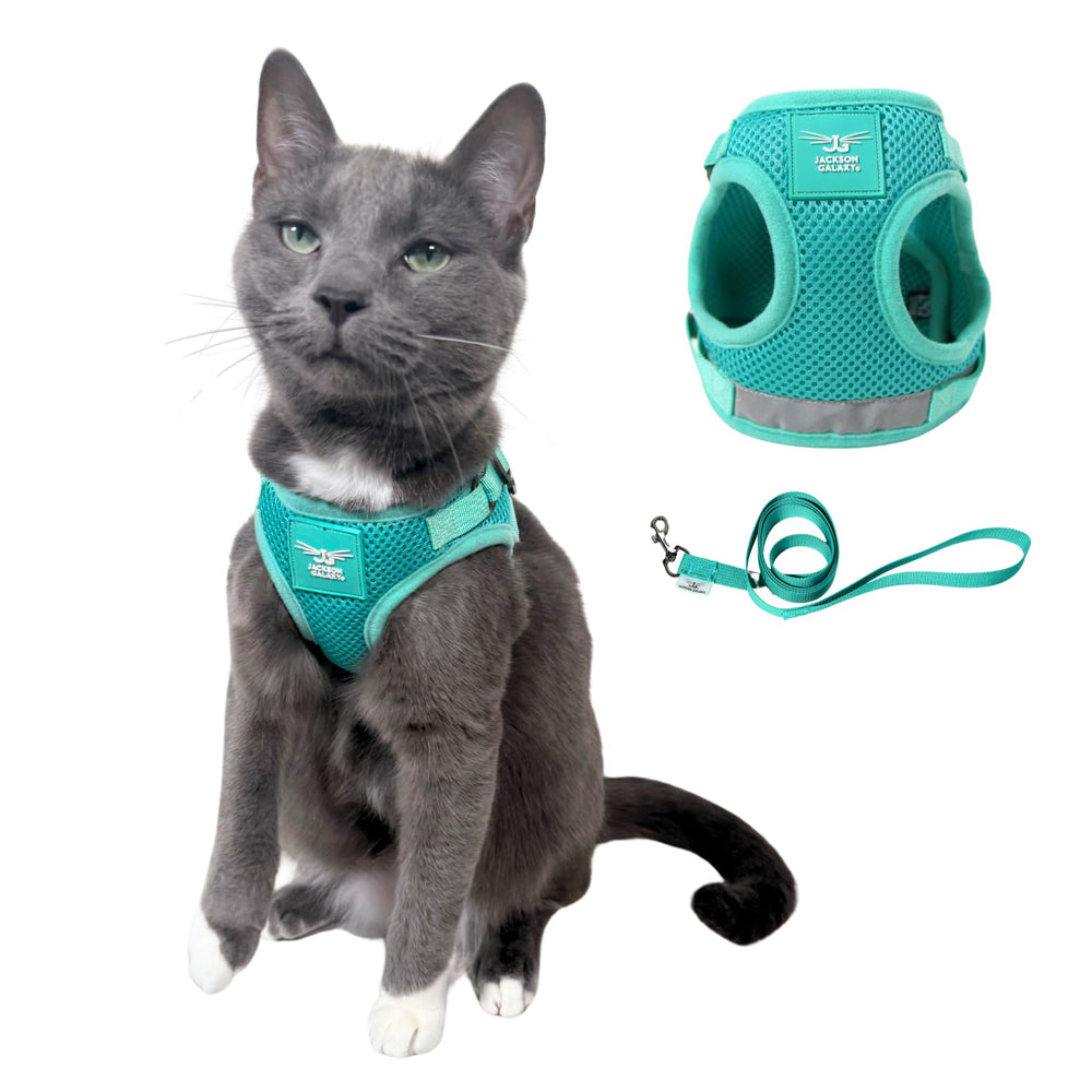 Your Cat Backpack Travel Cat Harness adjustable-fit sits securely on a cat for outdoor exploration.