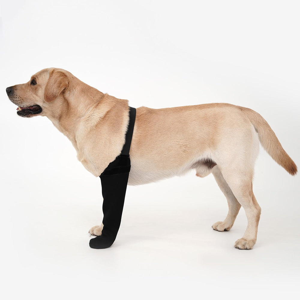 yrenoer dog recovery socks secure-fit design keeps wounds protected during daily activities.