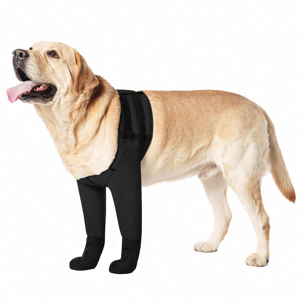 yrenoer dog socks boots waterproof cover showing full paw protection for wet conditions.