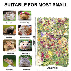YTSKJ dental-health-benefits-chewing-action indicates potential teeth exercise for rodents.