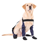 Yucca Rubber Dog Boots with paws focus for traction on wet surfaces
