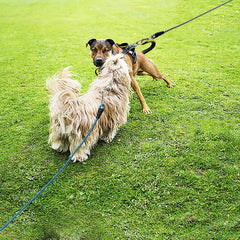 YUCFOREN lightweight, comfortable dog leash for outdoor use