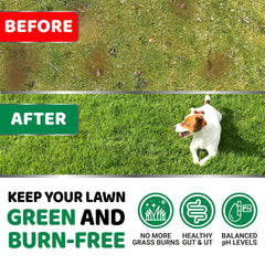 YUMA'S dog urine neutralizer lawn chews close-up bottle showing probiotic ingredients