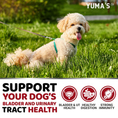 YUMA'S dog chews close-up show tasty texture and gentle daily support