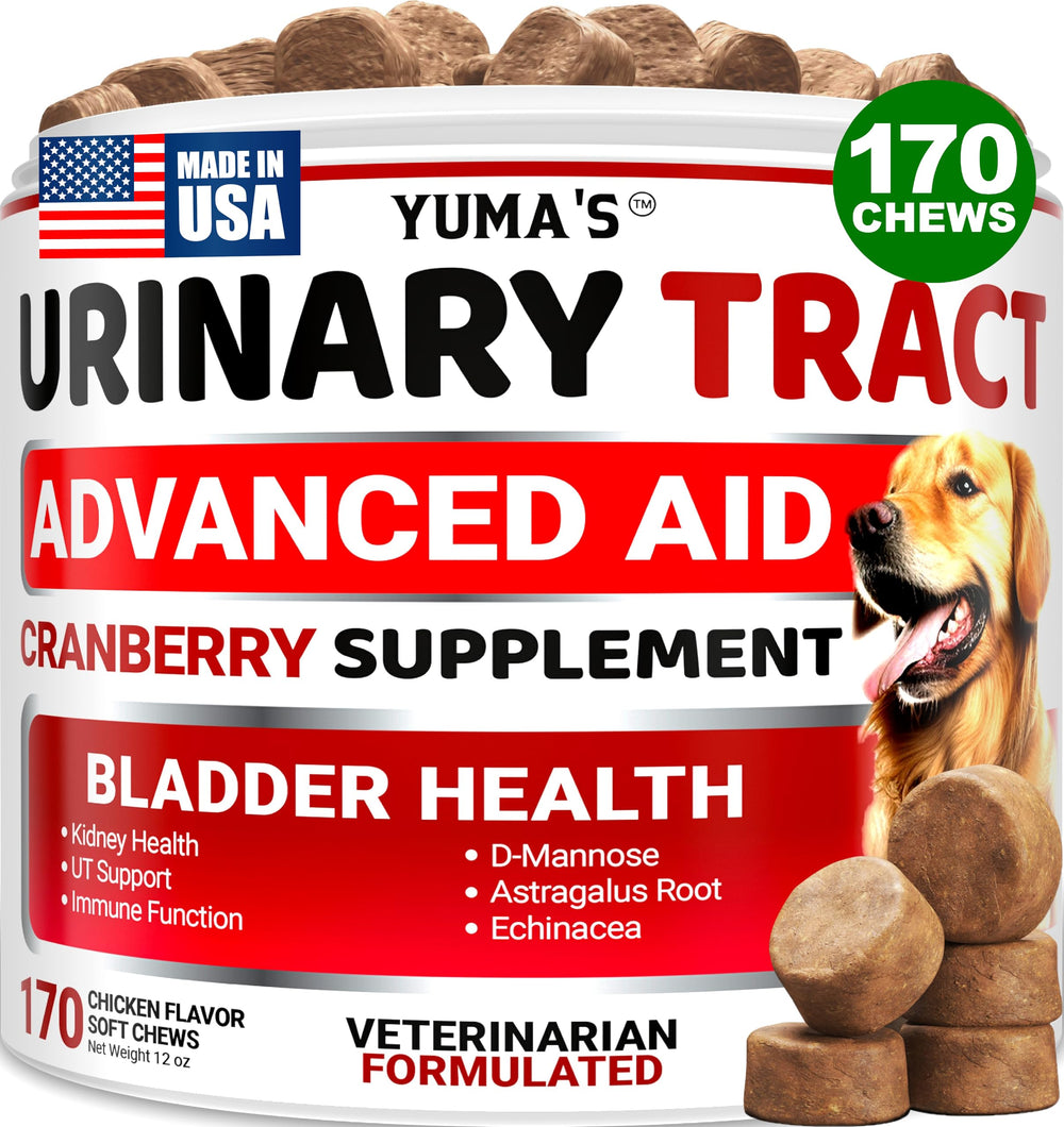YUMA'S dog UTI treatment treats bottle promoting bladder health and easy administration