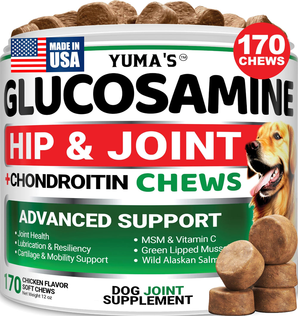 YUMA'S glucosamine dog hip joint chews bottle supports joint health for active dogs.