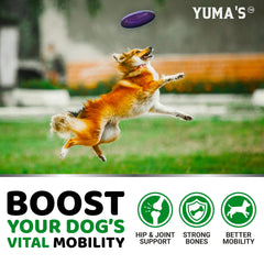 YUMA'S glucosamine dog joint supplement image highlights USA-made vet-formulated quality for all life stages.