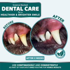 YUMA'S polvo dental para perros, controla el mal olor bucal.