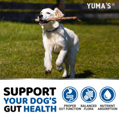 YUMA'S dog probiotic chews ingredients label shows enzymes and fiber