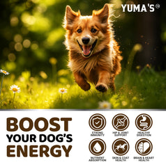 YUMA'S Turkey Tail dog chews aid digestive comfort and balance.