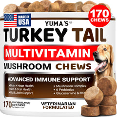 YUMA'S Turkey Tail dog chews boost immune support for daily vitality.