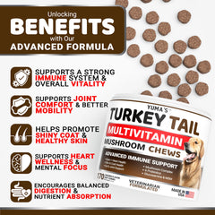 YUMA'S Turkey Tail dog chews support joints for active dogs.