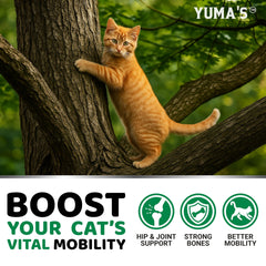 YUMA'S fórmula veterinaria para articulaciones de gatos