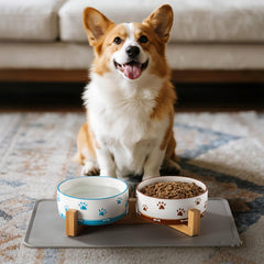 YUN TAO brown dry-food bowl with chip-resistant ceramic.