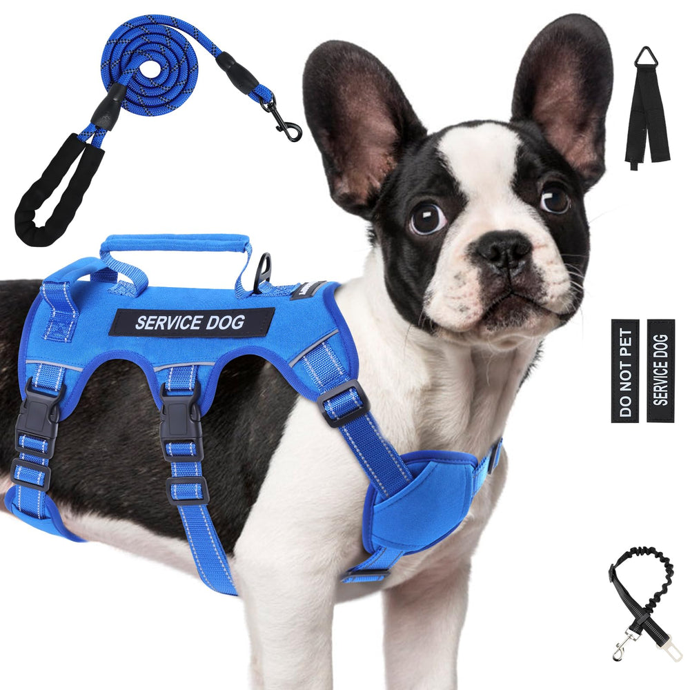 Yungaspy escape-proof harness blue front view promotes secure walking.