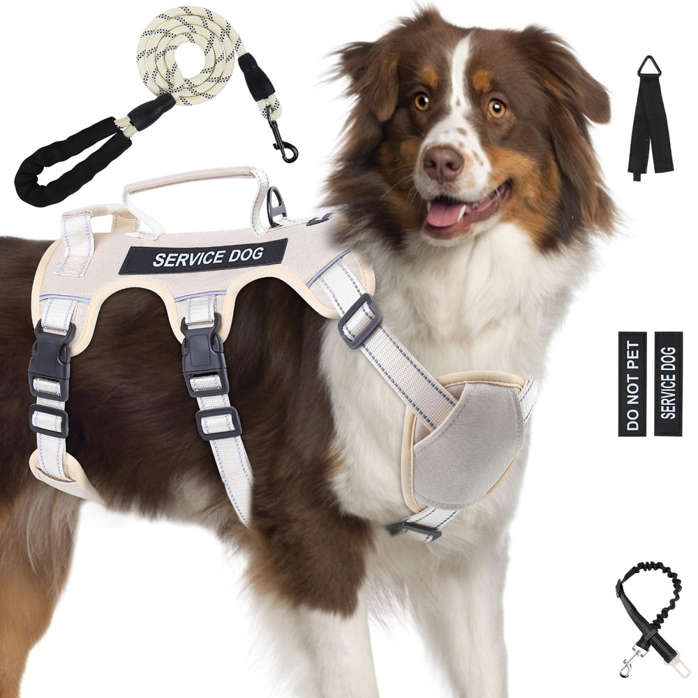 Yungaspy escape-proof harness front view showing secure fit for large dogs