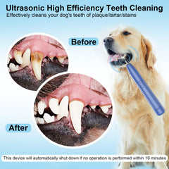 YunLuna low-noise dog teeth cleaner in action during home sessions