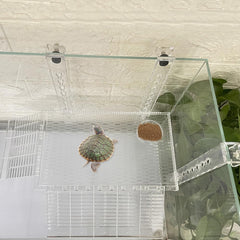 YXQ Hanging Turtle Platform multiuse tank compatibility supports turtles, lizards, frogs, hermit crabs.
