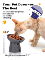 Y YHY shallow bowl reduces whisker contact during meals.