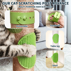 YYXISM interactive ball toy adds active play for cats