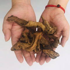 YZHZOM driftwood set enhancing aquarium scenery with varied natural shapes.